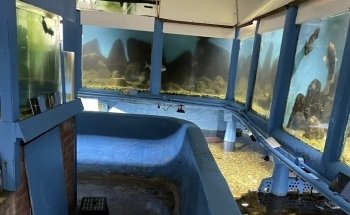 Fowey Aquarium
