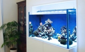 Fit Filtration
