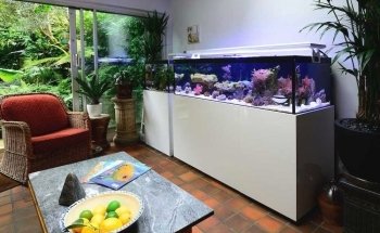 Fit Filtration