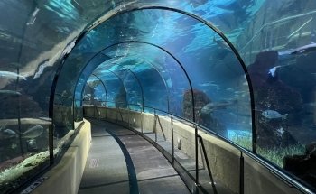 Barcelona Aquarium