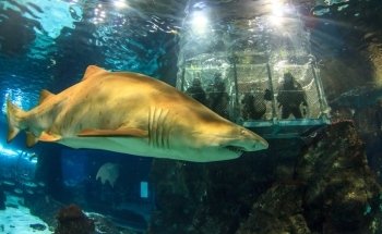 L’Aquàrium de Barcelona