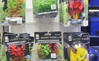 Badis Aquariums