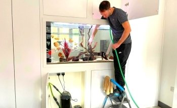 Fish Tank Man