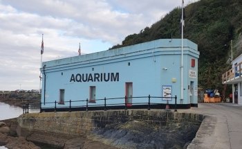 Mevagissey Aquarium