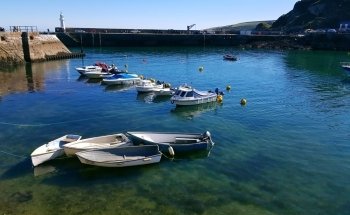 Mevagissey Aquarium