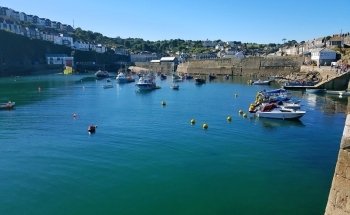 Mevagissey Aquarium
