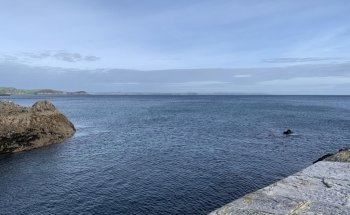 Mevagissey Aquarium