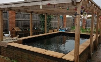 Cleaner Ponds