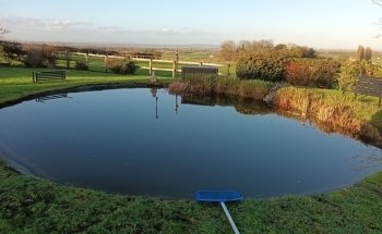 Cleaner Ponds