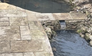 Cleaner Ponds