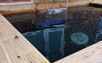 Cleaner Ponds