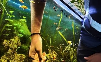 Aquari Aqua Care Ltd