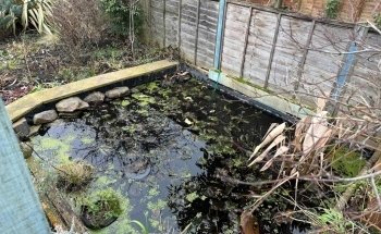 Aquari Aqua Care Ltd