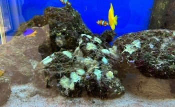 Aquari Aqua Care Ltd