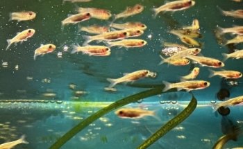 Aquari Aqua Care Ltd
