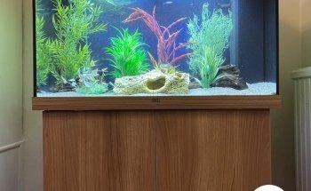 Mr Aquarium, Maintenance Services