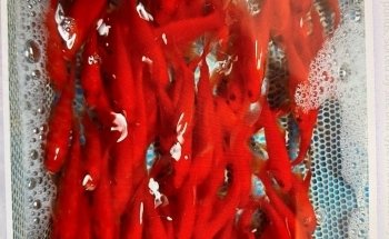 CN Koi - based at Claremont Garden Centre, Bryants Lane, Maldon Road, Woodham Mortimer. CM9 6TB