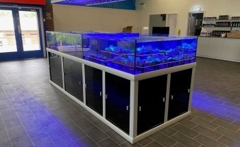 Reef Passion Ltd