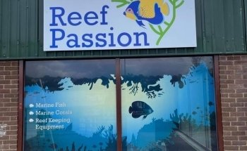 Reef Passion Ltd