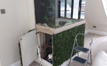 Aqua la vista