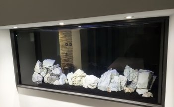 Aqua la vista