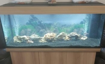 Aqua la Vista