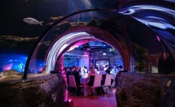 Merlin Venues