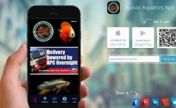 Apisto Aquatics