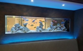 Fanatic Aquatic Design Ltd