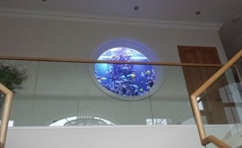 Fanatic Aquatic Design Ltd