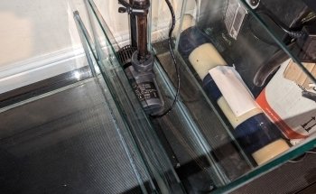 Aquaman Complete Aquarium Services