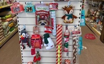 Pads and Paws St Marychurch