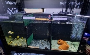 AQUATIC SHOP@birleymoor