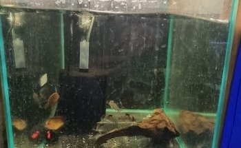 AQUATIC SHOP@birleymoor