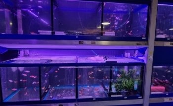 AQUATIC SHOP@birleymoor