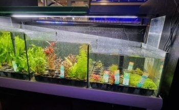 Tienda Acuática@birleymoor