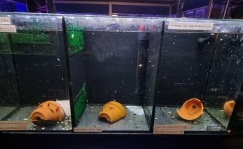 AQUATIC SHOP@birleymoor