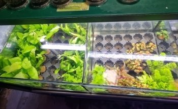 AQUATIC SHOP@birleymoor