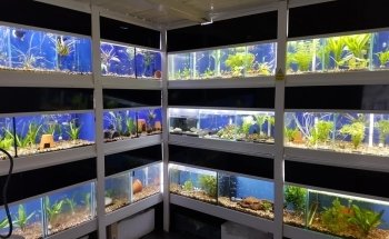 Fish House Barnsley (appointments only)