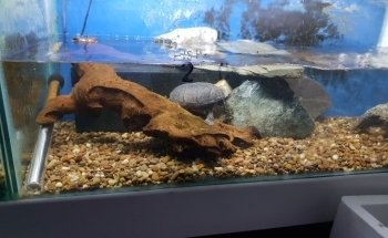 Fish House Barnsley (appointments only)