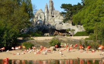 Hagenbeck Zoo