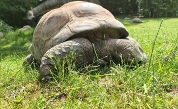 Hagenbeck Zoo