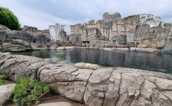Hagenbeck Zoo