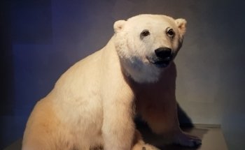 OZEANEUM Stralsund GmbH
