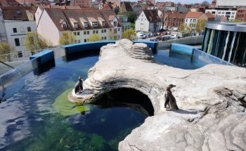 OZEANEUM Stralsund GmbH