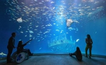 OZEANEUM Stralsund