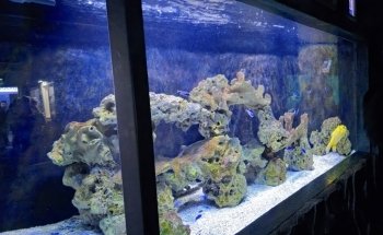 Theme Park Marine Aquarium GmbH