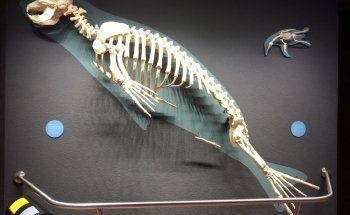 Aquazoo Löbbecke Museum Dusseldorf