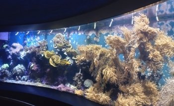 Aquazoo Löbbecke Museum Dusseldorf