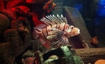 SEA LIFE Oberhausen